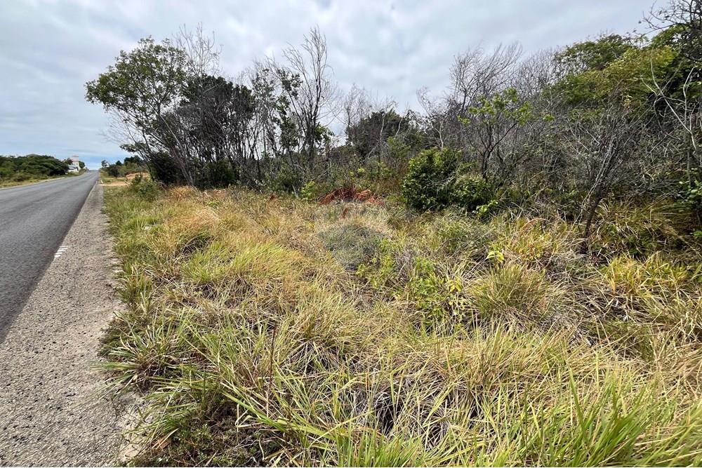 Terreno - Venda - Conde , Paraíba - Imagem do WhatsApp de 2025-12-12 à(s) 12.07.22_eacb0bff.jpg - 720871029-84