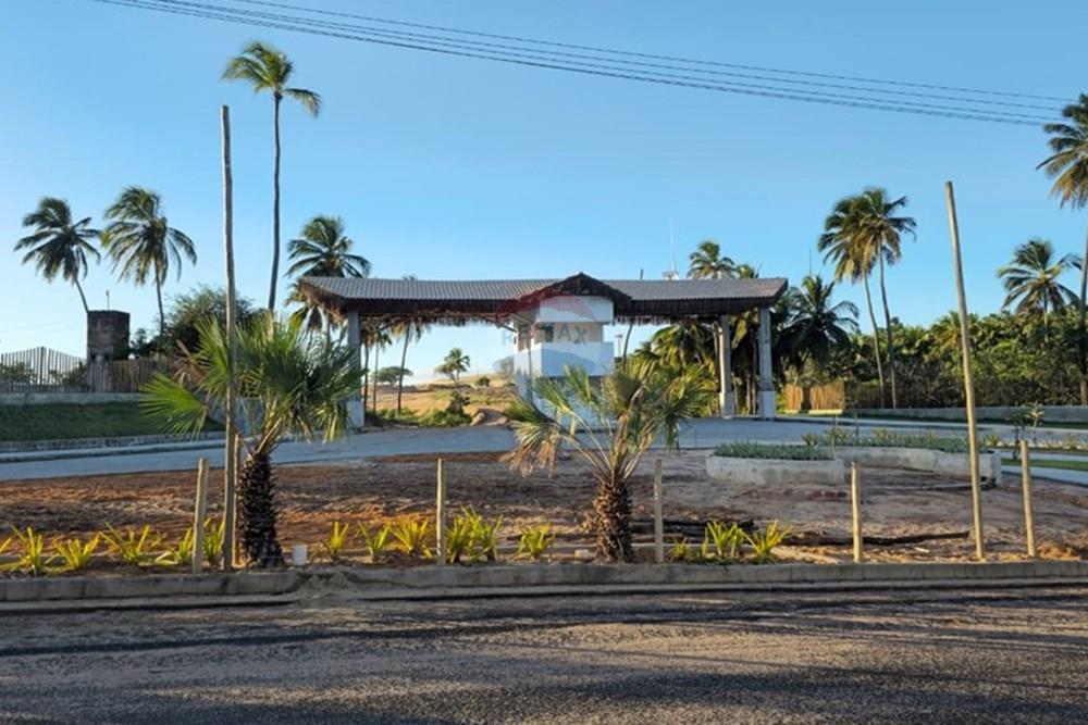 Terreno - Venda - Trairi , Ceará - 1000290576.jpg - 722341005-30