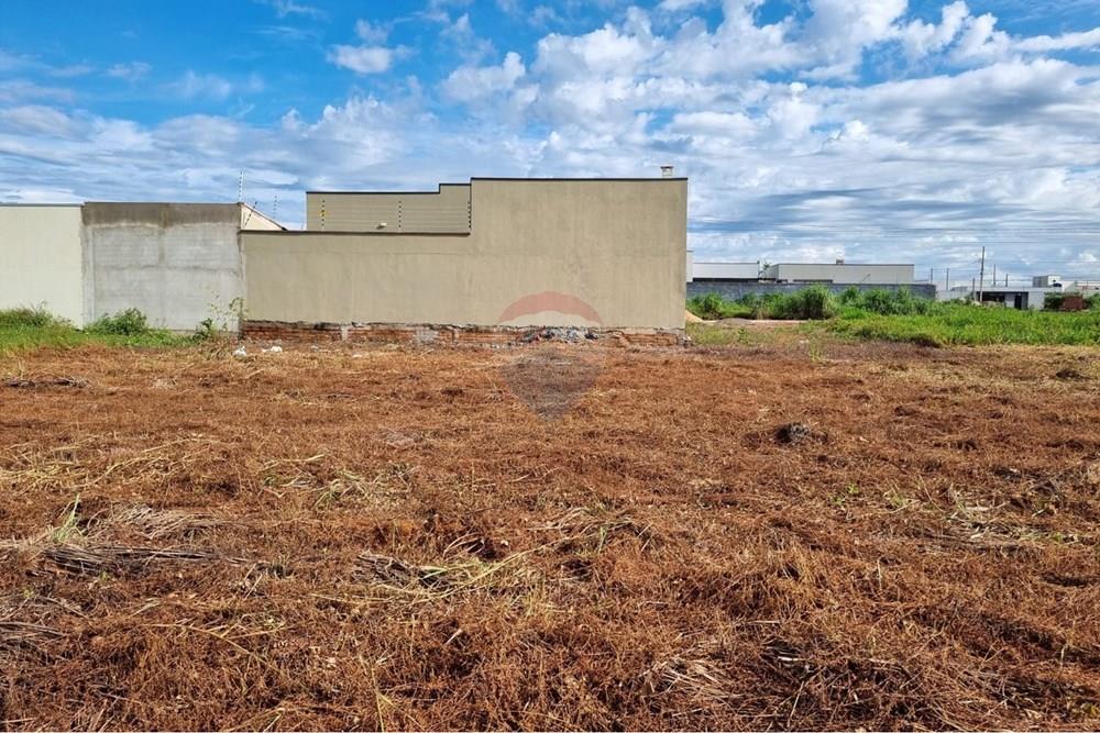 Terreno - Venda - Confresa , Mato Grosso - WhatsApp Image 2026-01-27 at 10.43.34 (2).jpeg - 720641046-17