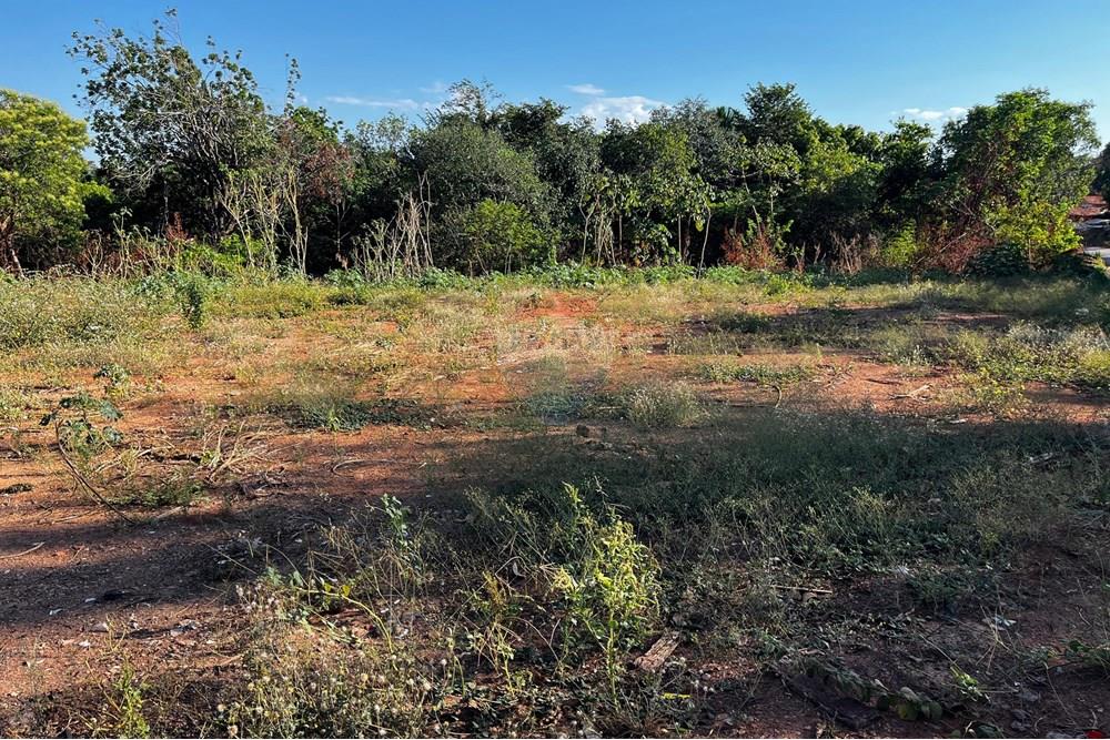 Terreno - Venda - Araguaína , Tocantins - WhatsApp Image 2025-08-25 at 23.28.25.jpeg - 720991051-78