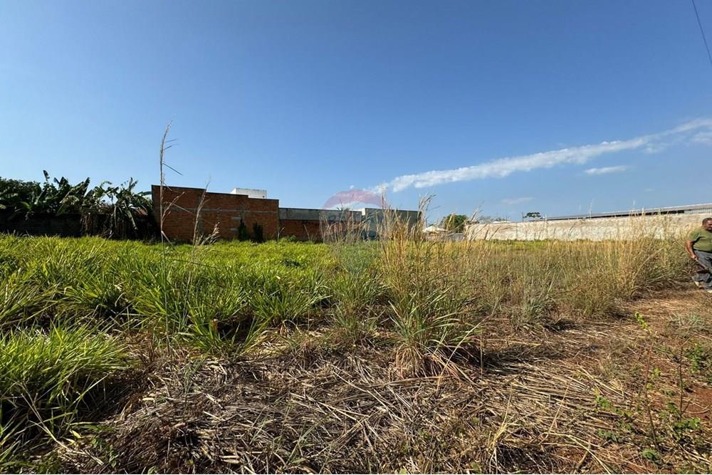 Terreno - Venda - Araguaína , Tocantins - WhatsApp Image 2024-08-22 at 17.40.37 (2).jpeg - 720991002-163