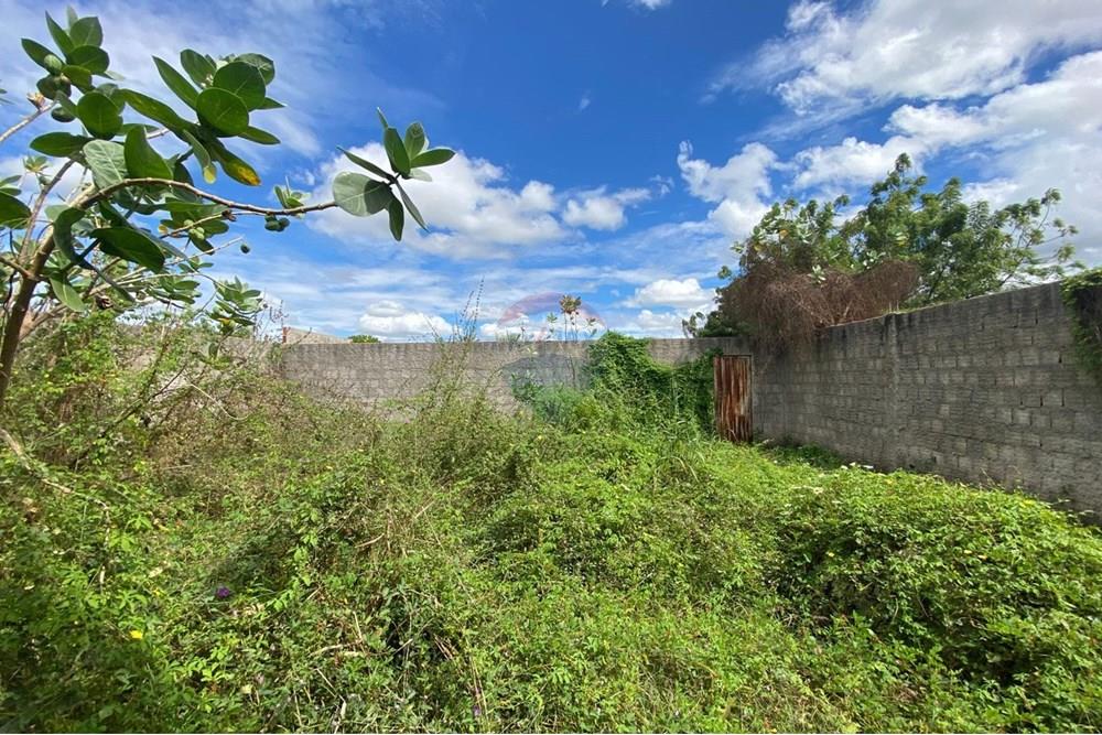 Galpão - Alugar - Iguatu , Ceará - WhatsApp Image 2025-06-30 at 11.28.14 (1).jpeg - 720931002-364