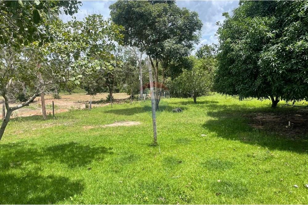 Chácara / Sítio / Fazenda - Venda - Araguaína , Tocantins - WhatsApp Image 2025-07-10 at 9.52.08 AM.jpeg - 722171061-11