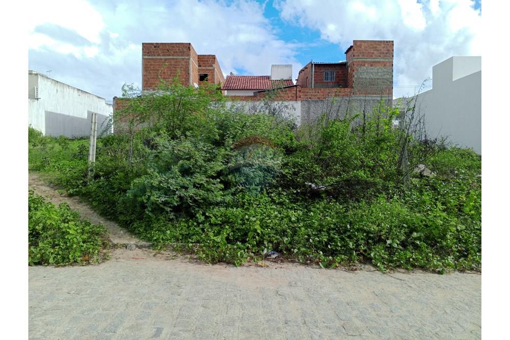 Terreno - Venda - Queimadas , Paraíba - IMG_20260227_153358_941.jpg.jpeg - 720291095-18