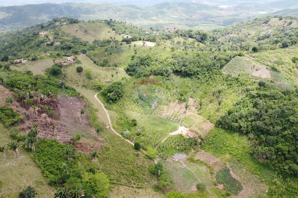 Chácara / Sítio / Fazenda - Venda - Areia , Paraíba - DJI_0428.JPG - 722011055-52