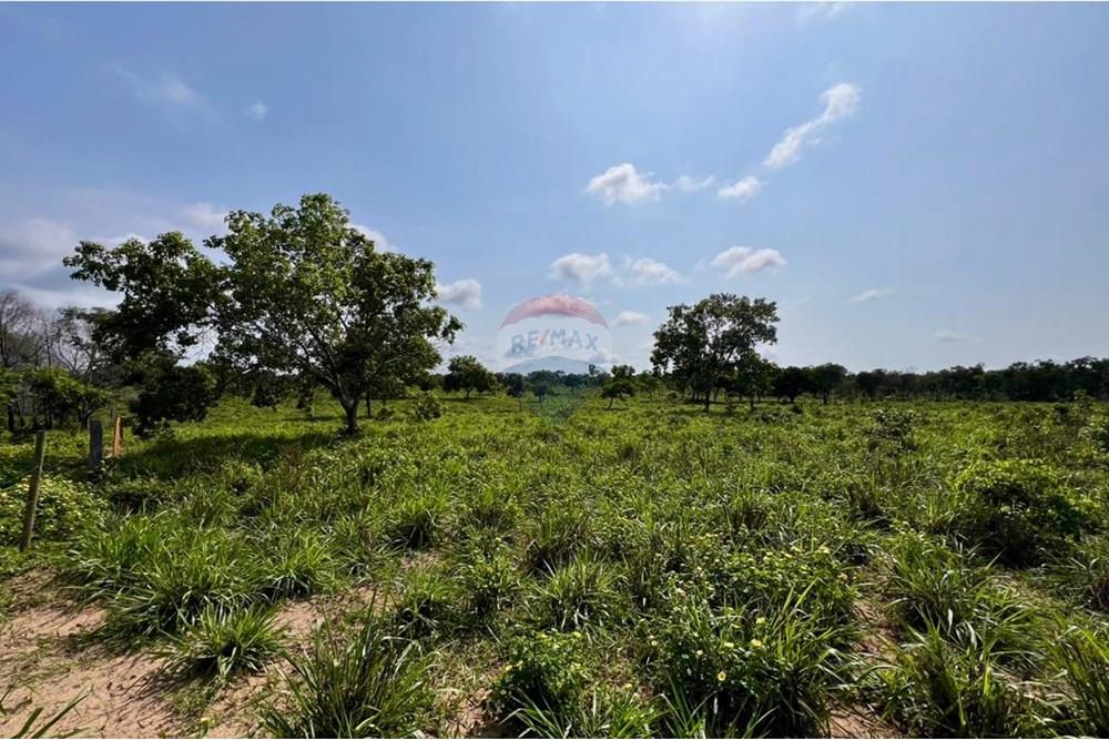 Fazenda - Venda - Araguaína , Tocantins - WhatsApp Image 2025-12-13 at 19.34.57.jpeg - 720991010-81