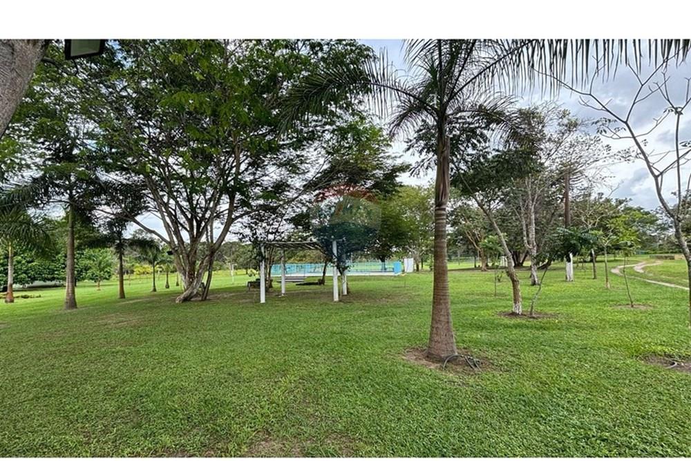 Chácara / Sítio / Fazenda - Venda - Araguaína , Tocantins - WhatsApp Image 2025-04-23 at 10.36.17 (1).jpeg - 720991051-32