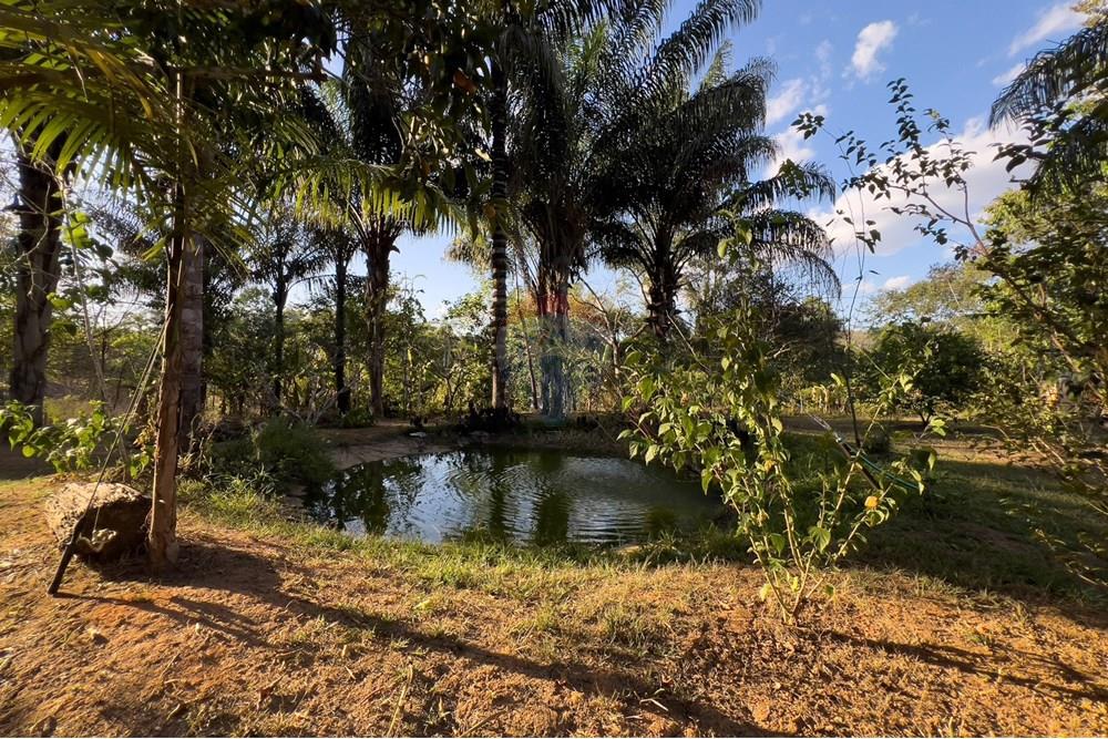 Chácara / Sítio / Fazenda - Venda - Porto Velho , Rondônia - IMG_9026.jpg - 721551016-73