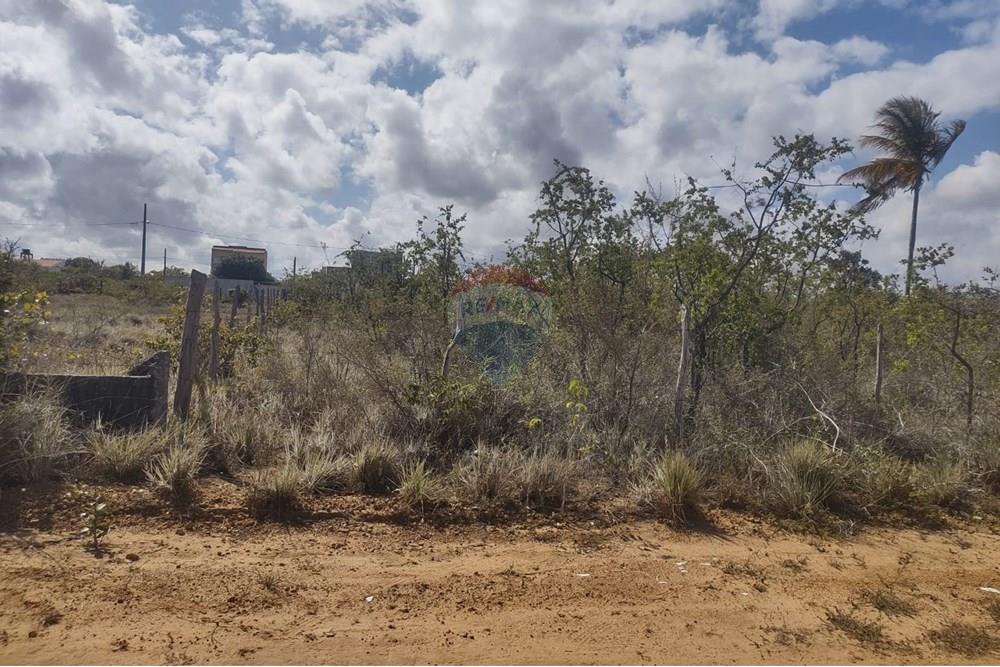 Terreno - Venda - Conde , Paraíba - WhatsApp Image 2025-11-21 at 14.00.32.jpeg - 720871031-90