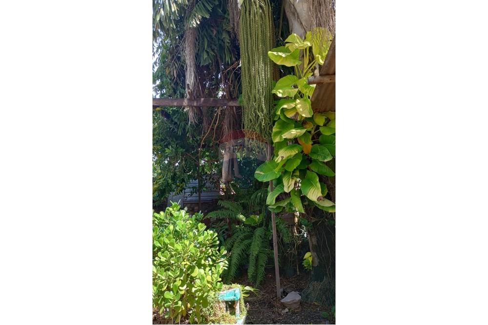 Casa - Venda - Rondonópolis , Mato Grosso - IMG-20250416-WA0143.jpg - 720771067-2