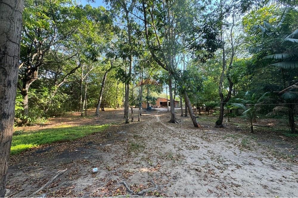 Chácara / Sítio / Fazenda - Venda - Babaçulândia , Tocantins - WhatsApp Image 2025-09-23 at 14.17.42 (2).jpeg - 720991008-82