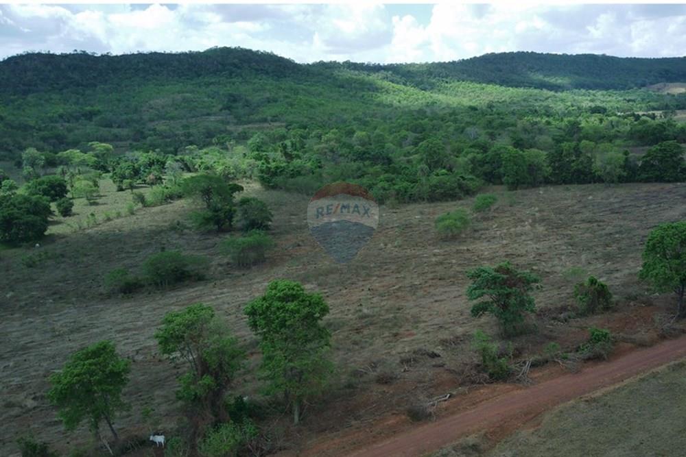 Chácara / Sítio / Fazenda - Venda - Dom Aquino , Mato Grosso - IMG_7858.JPG - 720611016-36