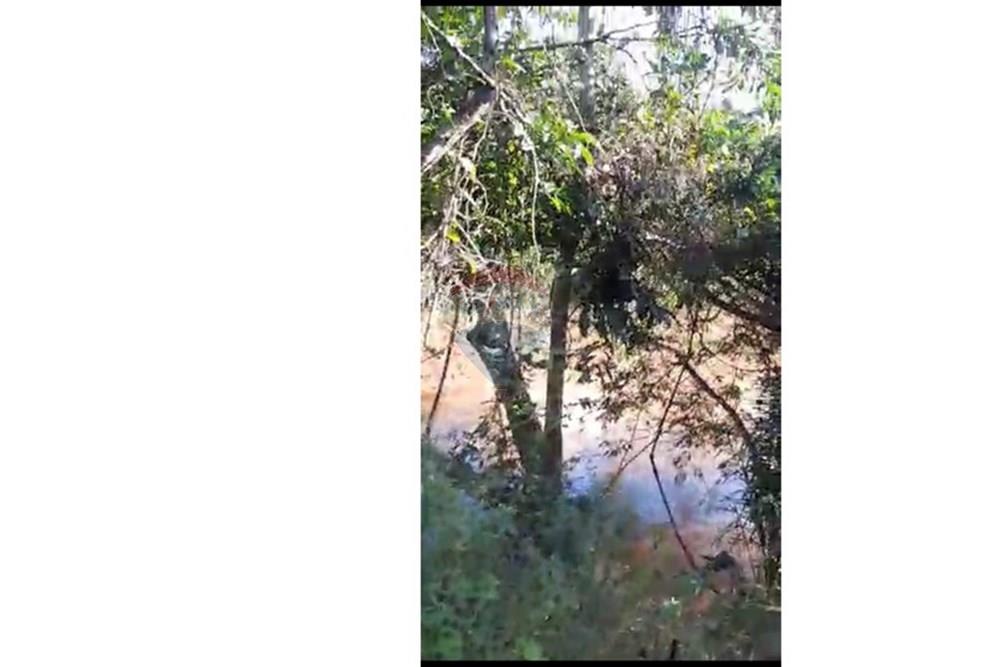 Fazenda - Venda - Guiratinga , Mato Grosso - IMG-20250730-WA0173.jpg - 721981068-4