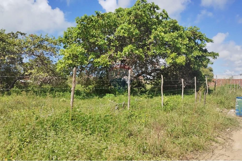 Terreno - Venda - Conde , Paraíba - d1b9b6ca-7736-4245-8fd6-a5b351b638a7.jpg - 720871056-7