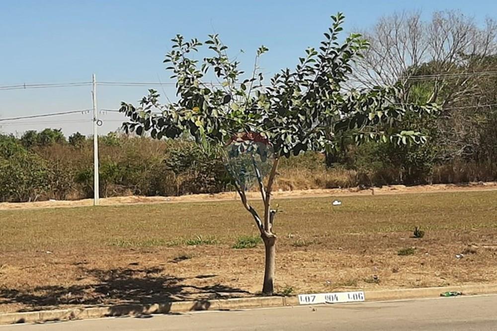 Terreno - Venda - Rondonópolis , Mato Grosso - WhatsApp Image 2025-05-28 at 09.06.35.jpeg - 720611007-106