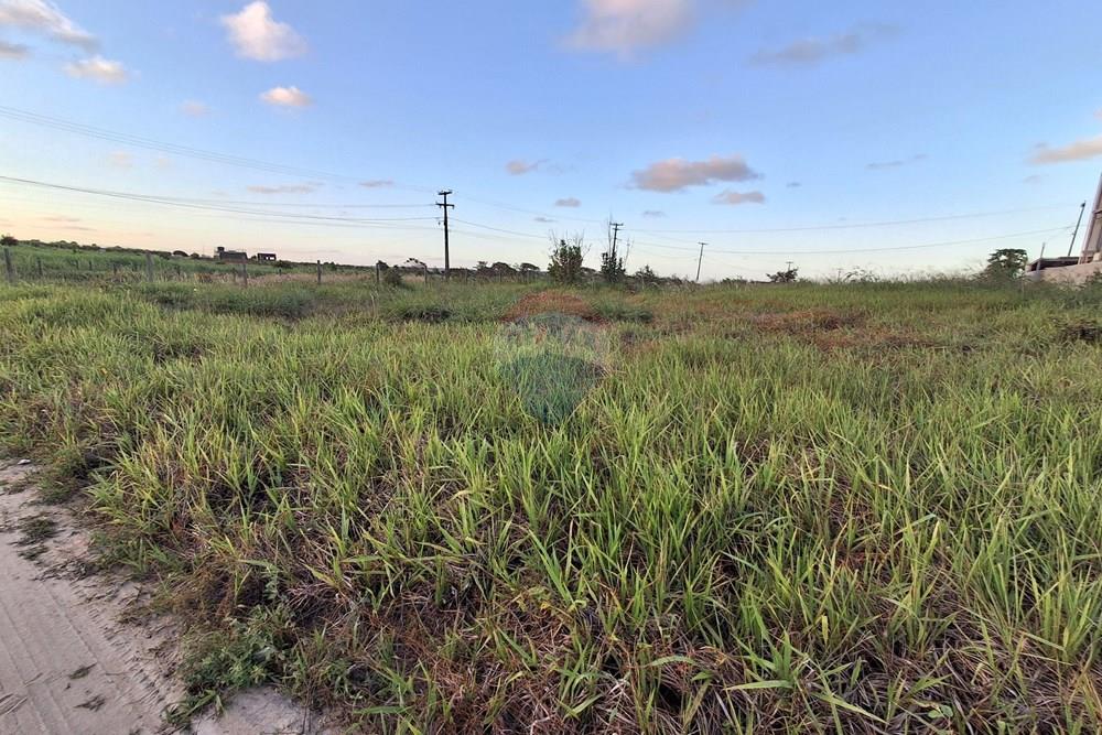 Terreno - Venda - Pitimbu , Paraíba - 20260310_171535.jpg.jpeg - 720871044-118