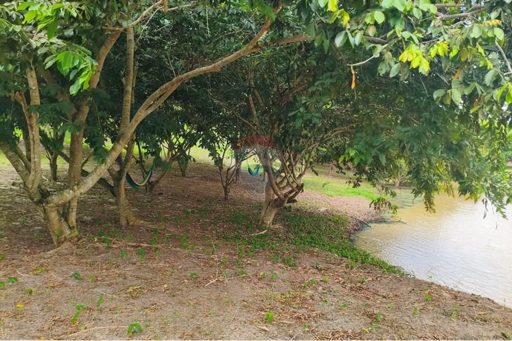 Terreno - Venda - Conde , Paraíba - d17c8993-303f-4336-9ac8-6c034e9457ec.jpg - 720871056-17