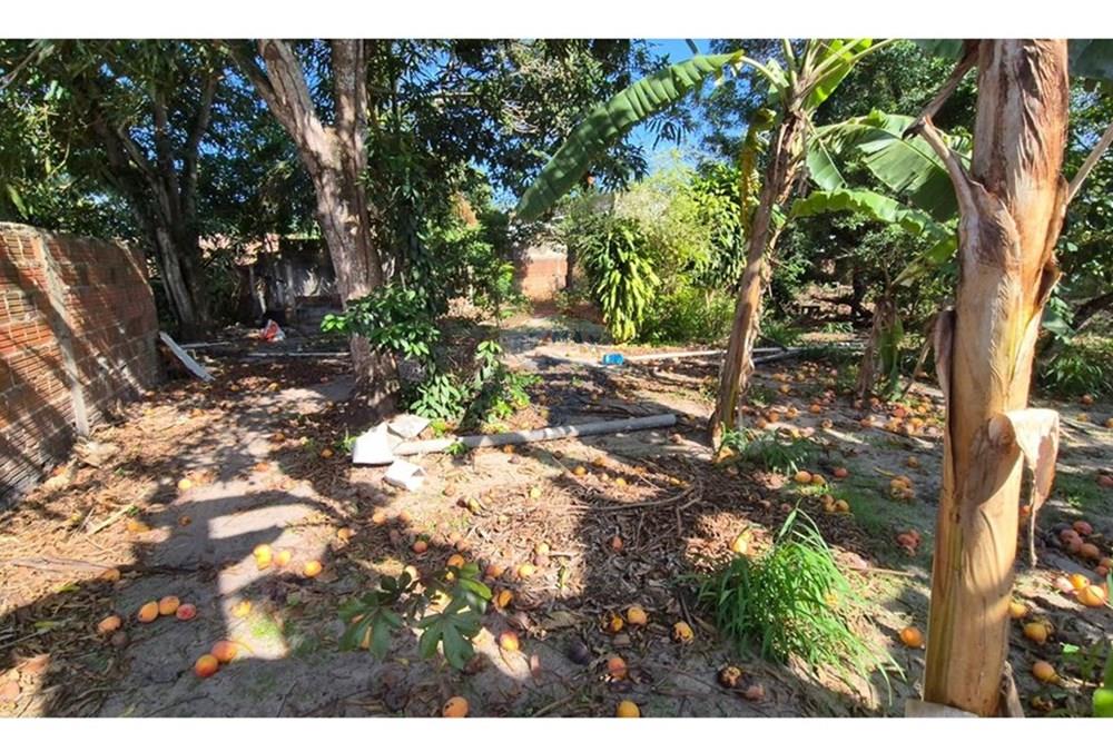 Terreno - Venda - Parnamirim , Rio Grande do Norte - WhatsApp Image 2026-03-02 at 10.05.17 (2).jpeg - 720811040-40