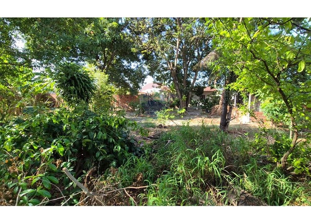 Terreno - Venda - Parnamirim , Rio Grande do Norte - WhatsApp Image 2026-03-02 at 10.05.13.jpeg - 720811040-40