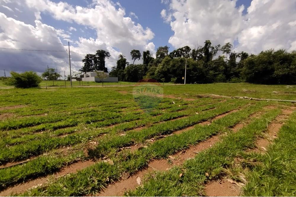 Terreno - Venda - Sinop , Mato Grosso - WhatsApp Image 2025-04-03 at 15.28.17 (1).jpeg - 721561033-5