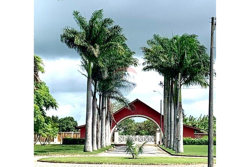 Terreno - Venda - Areia , Paraíba - WhatsApp Image 2026-03-06 at 07.57.12 (6).jpeg - 722421005-10