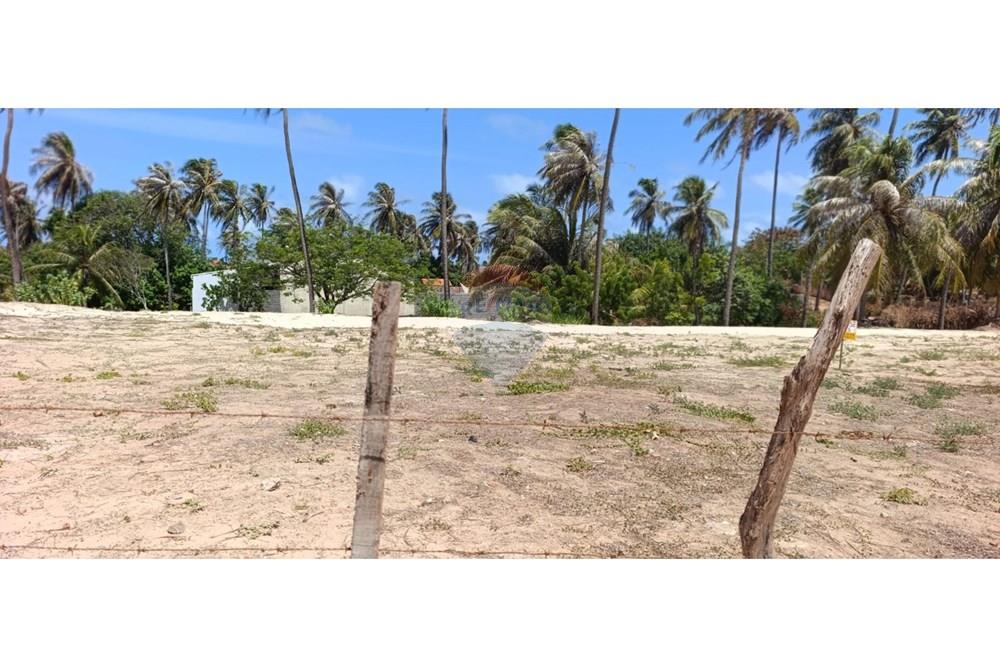 Terreno - Venda - Trairi , Ceará - WhatsApp Image 2026-01-16 at 14.42.45 (1).jpeg - 722341005-41