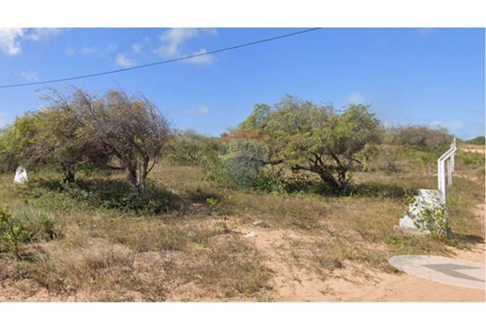 Terreno - Venda - Nísia Floresta , Rio Grande do Norte - TERRENO 5-13.JPG - 720891234-9