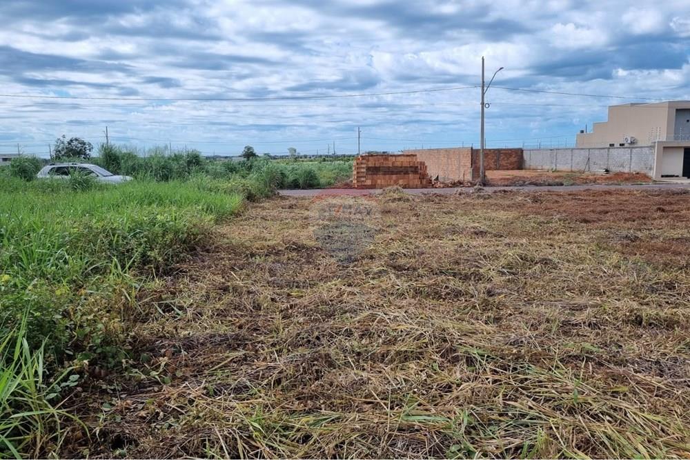 Terreno - Venda - Confresa , Mato Grosso - WhatsApp Image 2026-01-27 at 10.43.38 (2).jpeg - 720641046-17