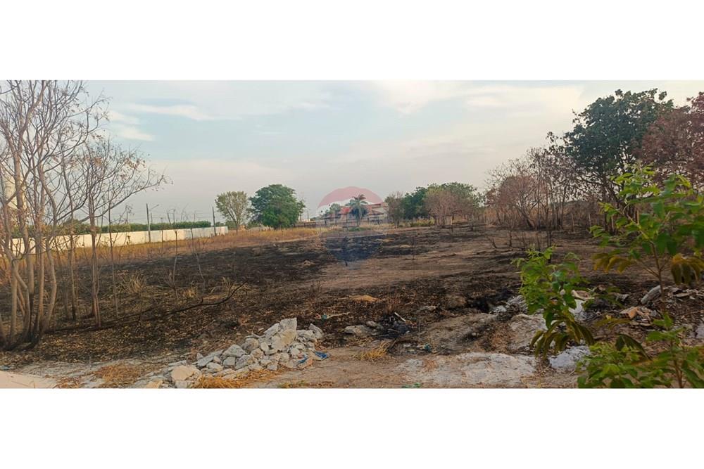 Terreno - Venda - Porto Alegre do Norte , Mato Grosso - 847a3d3b-3aaa-435d-b8bb-99e108ae5aae.jpg - 720641031-25