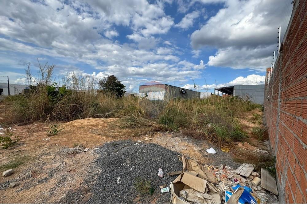 Terreno - Venda - Araguaína , Tocantins - WhatsApp Image 2025-06-11 at 17.15.05 (2).jpeg - 720991002-152