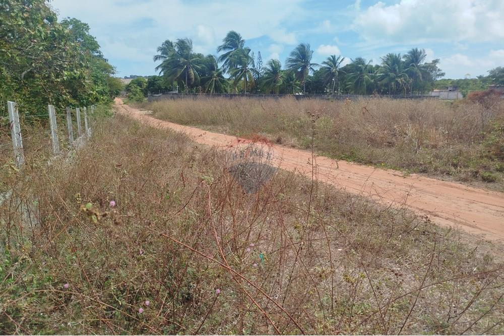 Terreno - Venda - Nísia Floresta , Rio Grande do Norte - WhatsApp Image 2024-11-22 at 21.32.44.jpeg - 720891013-275