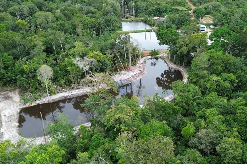 Woningbouw - Boerderij - Novo Airão , Amazonas - BR - Tanques de Peixes2.jpg - 720721055-29