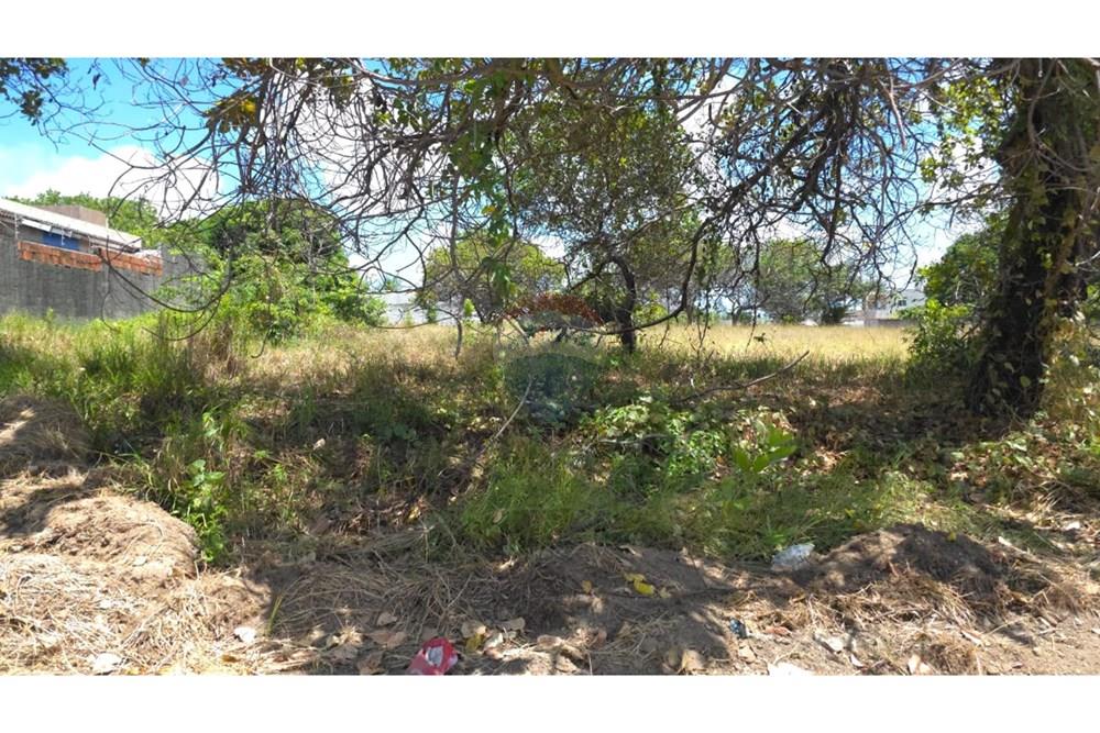 Terreno - Venda - Conde , Paraíba - 89cf74a9-7445-47df-833f-bf8bb0c8e428.jpg - 720871015-135