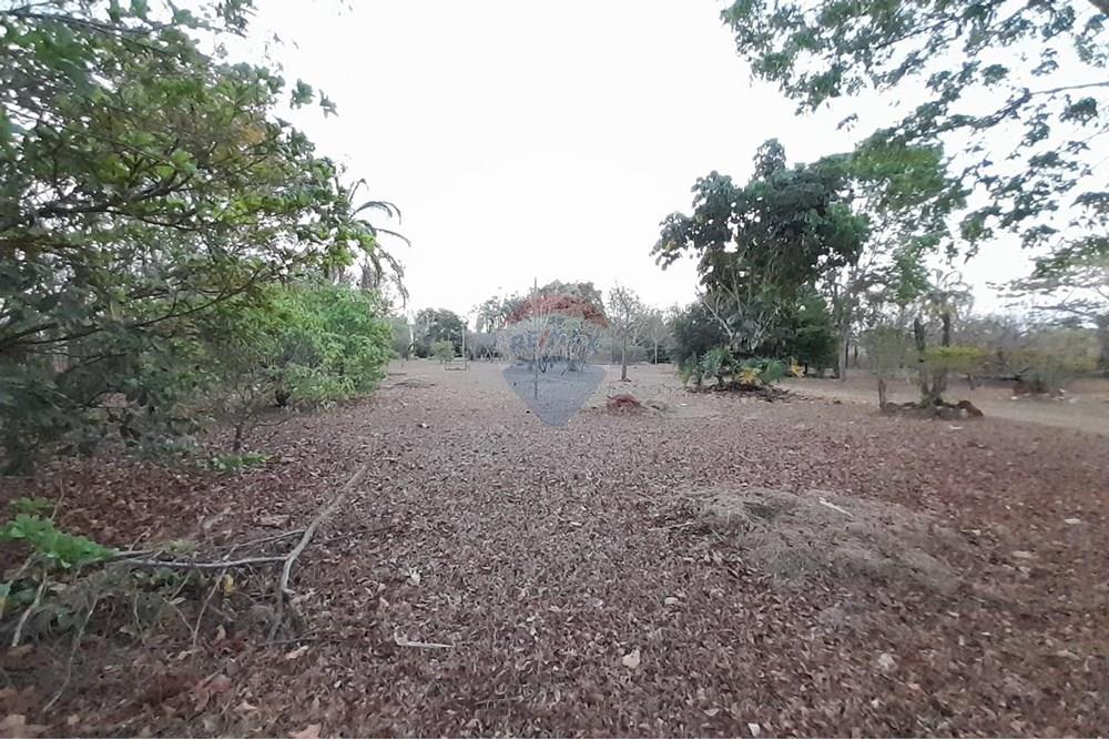 Chácara / Sítio / Fazenda - Venda - Goiânia , Goiás - WhatsApp Image 2025-10-31 at 16.47.39 (1).jpeg - 722271015-38