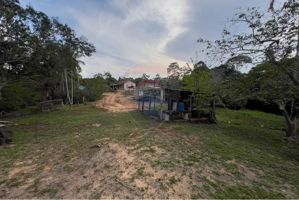 Chácara / Sítio / Fazenda - Venda - Porto Velho , Rondônia - IMG_3124.jpg - 721551059-6