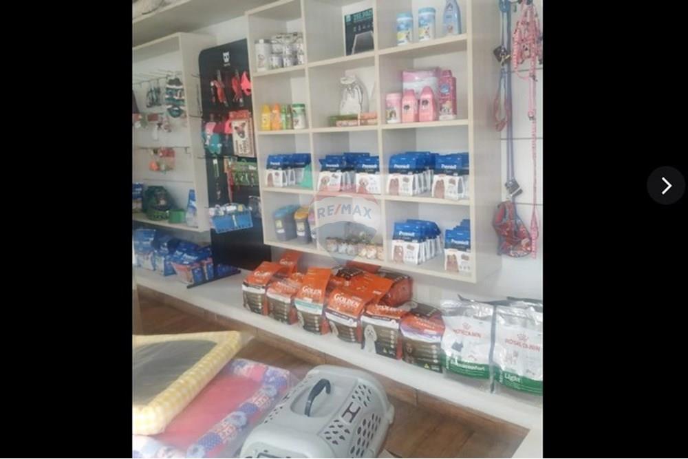 Galpão - Venda - Rondonópolis , Mato Grosso - WhatsApp Image 2025-11-27 at 12.07.04.jpeg - 721981010-404