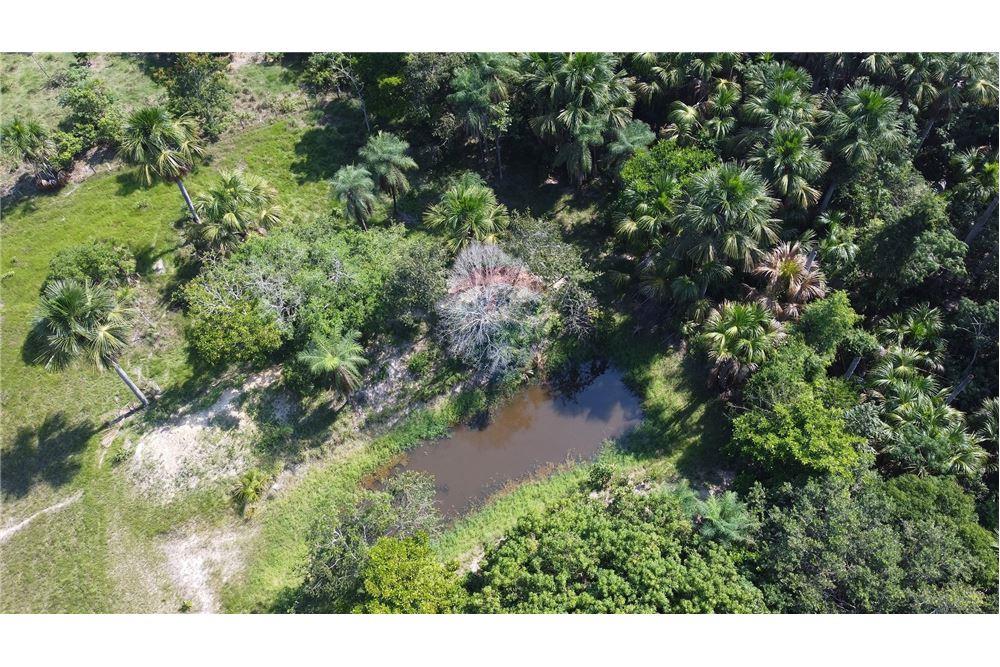 Chácara / Sítio / Fazenda - Venda - Porto Alegre do Norte , Mato Grosso - 16 - 720641031-14