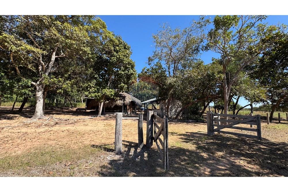 Fazenda - Venda - Santo Antônio do Leverger , Mato Grosso - 5f16db98-51e0-4308-81bf-6932a35231da.jpeg - 720611035-41