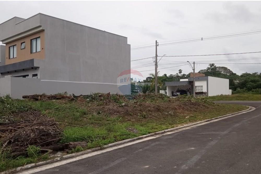 Terreno - Venda - Manaus , Amazonas - WhatsApp Image 2026-01-22 at 12.26.44.jpeg - 720721096-8