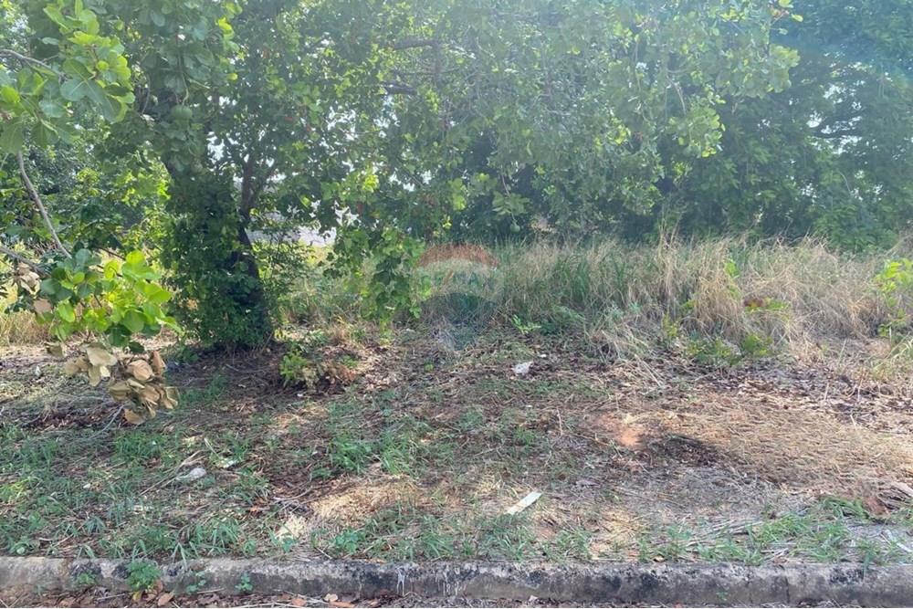 Terreno - Venda - Araguaína , Tocantins - WhatsApp Image 2025-10-30 at 10.01.54 (1).jpeg - 722171001-75