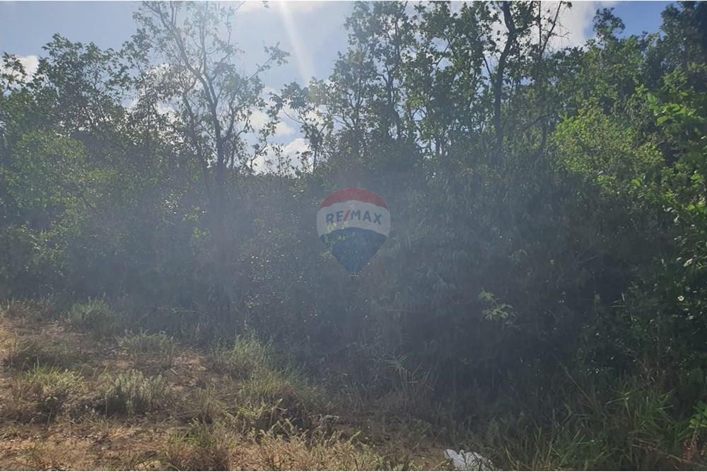 Terreno - Venda - Conde , Paraíba - 3c4a95d7-3ca2-492f-9586-05504fba7e4f.jpeg - 720471019-138