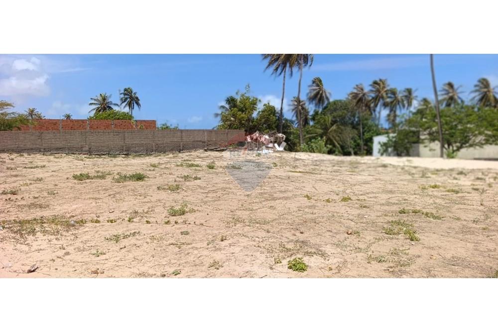 Terreno - Venda - Trairi , Ceará - WhatsApp Image 2026-01-16 at 14.42.47 (1).jpeg - 722341005-41