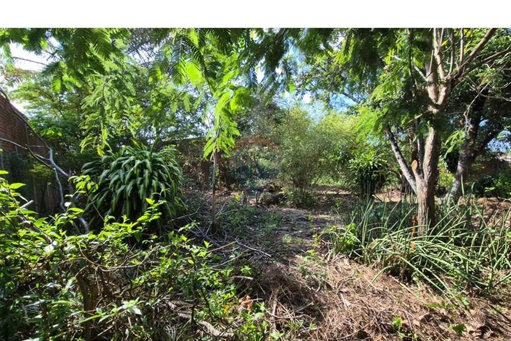 Terreno - Venda - Parnamirim , Rio Grande do Norte - WhatsApp Image 2026-03-02 at 10.05.18 (3).jpeg - 720811040-40