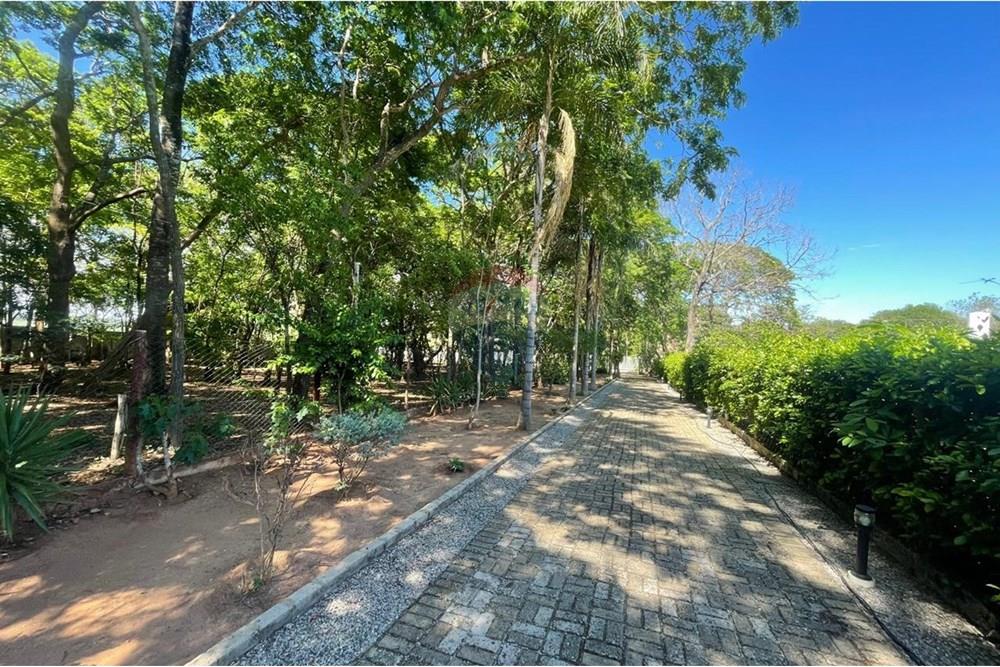 Chácara / Sítio / Fazenda - Venda - Nova Veneza , Goiás - WhatsApp Image 2025-11-18 at 07.24.53 (1).jpeg - 722271015-32