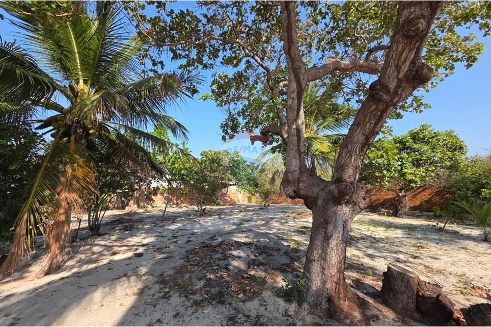 Casa - Venda - Cruz , Ceará - 297c69dd-7a67-41a1-87ff-67174feef9a4.jpeg - 722341001-89