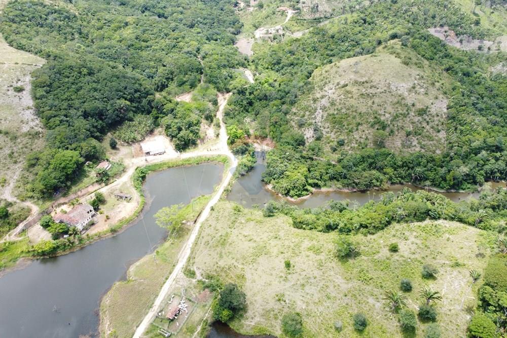 Chácara / Sítio / Fazenda - Venda - Areia , Paraíba - DJI_0412.JPG - 722011055-52