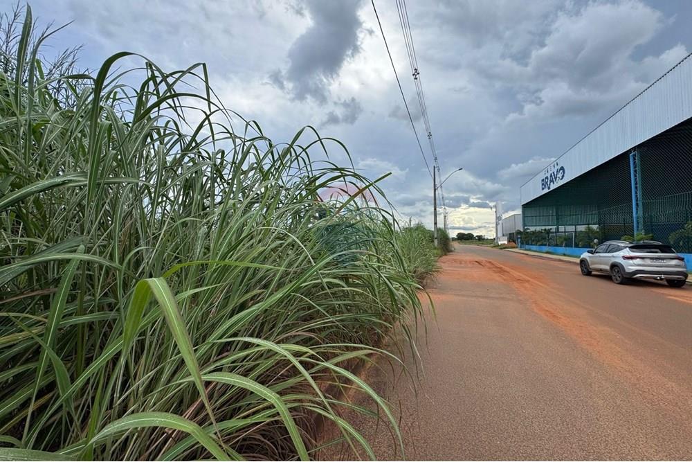 Terreno - Venda - Araguaína , Tocantins - WhatsApp Image 2025-04-09 at 15.39.08 (1).jpeg - 720991002-129