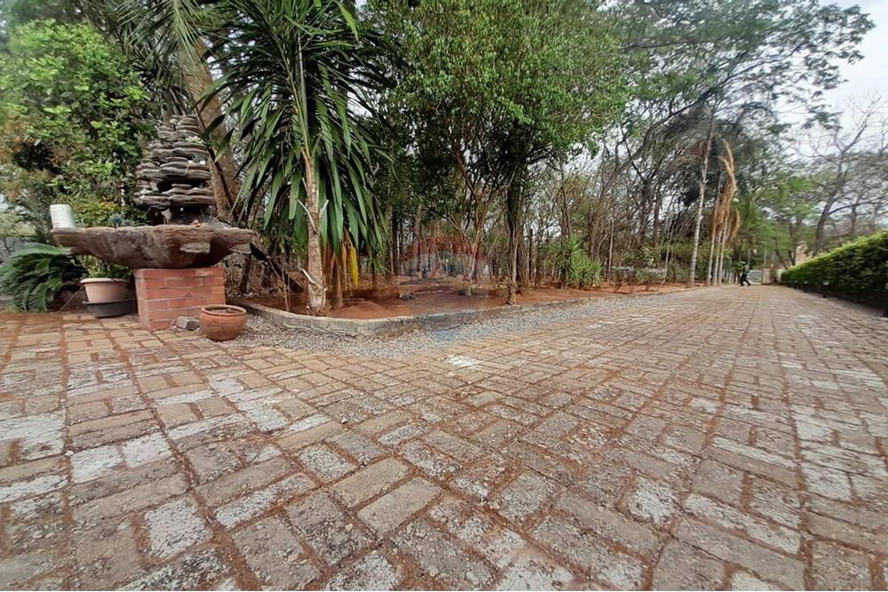 Chácara / Sítio / Fazenda - Venda - Nova Veneza , Goiás - WhatsApp Image 2025-10-08 at 10.28.06.jpeg - 722271015-32