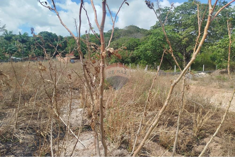 Terreno - Venda - Nísia Floresta , Rio Grande do Norte - WhatsApp Image 2024-11-22 at 21.32.38.jpeg - 720891013-275