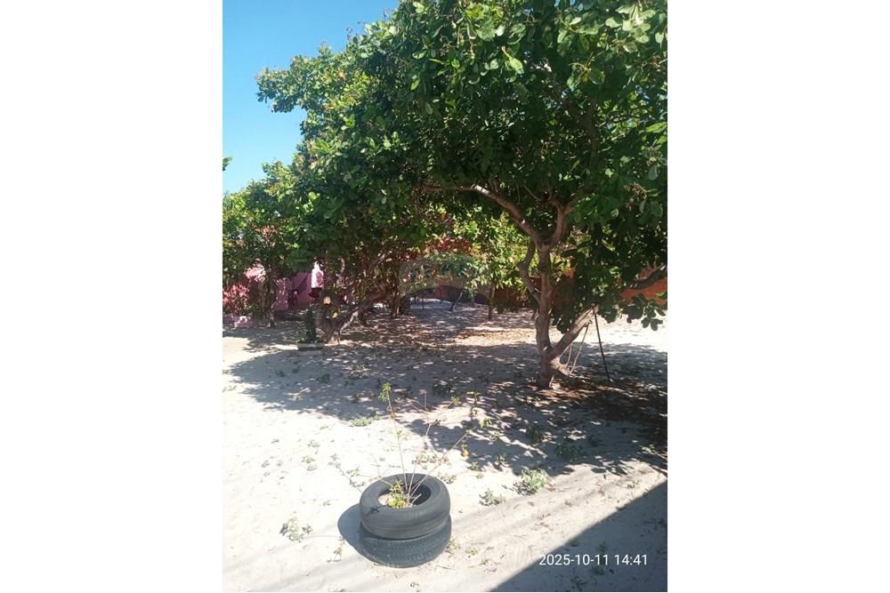 Chácara / Sítio / Fazenda - Venda - Parnaíba , Piauí - WhatsApp Image 2025-10-15 at 09.35.38 (1).jpeg - 722361007-3